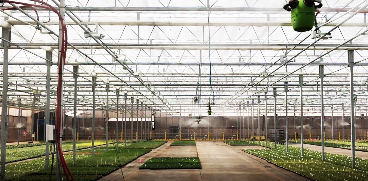 Humidity control in greenhouse with fog - IKEUCHI